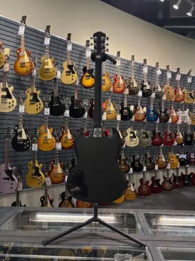 Epiphone - EGGSVVECH 2